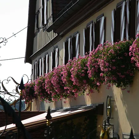 Brauereigasthof Landwehr-braeu Hotel